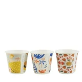 Cafe Collection Double Wall 8oz Uni Truly Eco Paper Coffee Cup