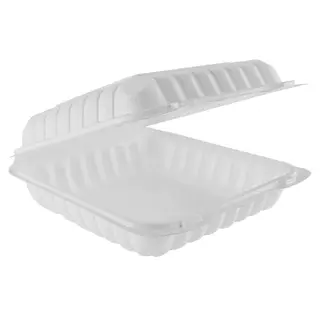 Plastic Large Dinner Box