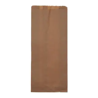 Double Bottle HWS Brown Paper Bag