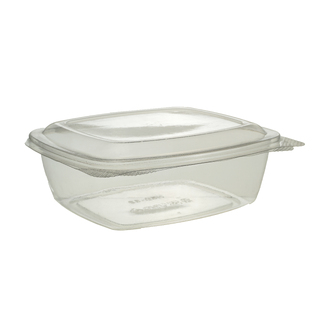 Greenmark Rectangle Container 32oz with Hinged Lid