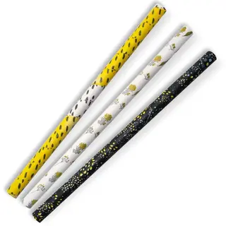 BioPak Jumbo Mixed Art Paper Straws