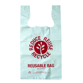 Large Reusable Printed Plastic Carry Bag 37um