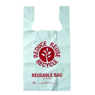 Large Reusable Printed Plastic Carry Bag 37um