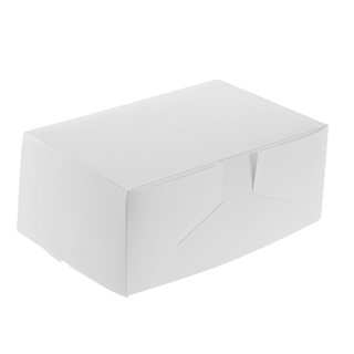 Rectangle Cake Box with Hinged Lid Large Deep
