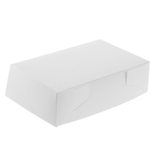 Rectangle Cake Box with Hinged Lid Large