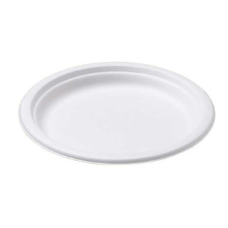 9" Round Foam Plate