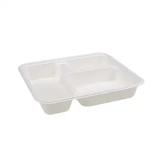 Sugarcane 3 Compartment Tray