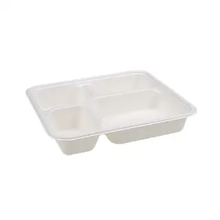 Sugarcane 4 Compartment Tray