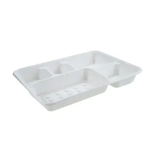 Sugarcane 5 Compartment Tray Deep