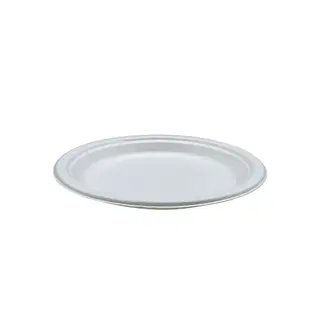 Sugarcane 9 Inch Round Plate