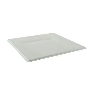 Greenmark Sugarcane 8 Inch Square Plate