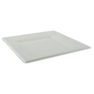 Greenmark Sugarcane 10 Inch Square Plate