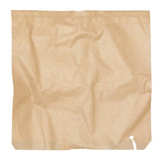 Square Sponge Brown Paper Bag